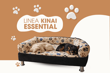 essential-kinai