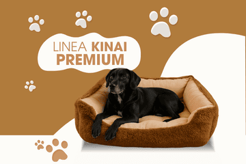 premium-kinai