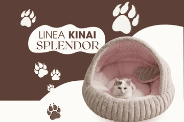 splendor-kinai